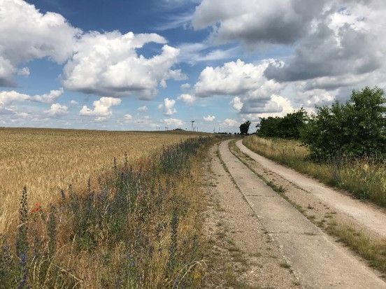 Feldweg